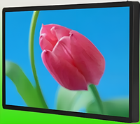 Киоск информационный настенный сенсорный 27" (вариант 1) - fgospostavki.ru - Балахна