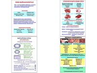Плакаты ПРОФТЕХ "Классификации и виды мяса" (4 пл, винил, 70х100) - fgospostavki.ru - Балахна