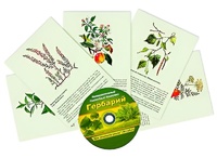 Интерактивный наглядный комплекс "Гербарий "Для начальной школы" - fgospostavki.ru - Балахна