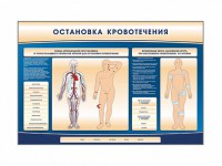 Электрифицированный стенд-тренажер "Остановка кровотечения" - fgospostavki.ru - Балахна