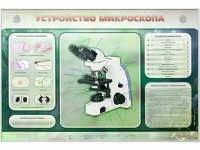 Электрифицированный стенд "Устройство микроскопа и правила работы c ним" - fgospostavki.ru - Балахна