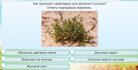 Интерактивные курсы. Окружающий мир 3 класс . Базовый. - fgospostavki.ru - Балахна