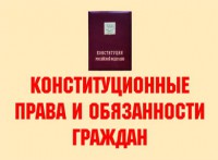 Комплект плакатов "Конституционные права и обязанности граждан" - fgospostavki.ru - Балахна