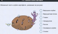 Интерактивные курсы. Биология 6 класс. Расширенный - fgospostavki.ru - Балахна