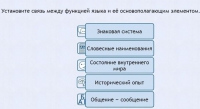 Интерактивные курсы. Русский язык 7 класс . Базовый. - fgospostavki.ru - Балахна