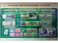 Электрифицированный стенд "Уровни организации жизни" - fgospostavki.ru - Балахна