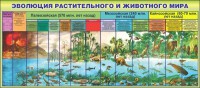 Стенд "Эволюция растительного и животного мира" - fgospostavki.ru - Балахна