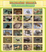 Стенд "Красная книга - млекопитающие" - fgospostavki.ru - Балахна