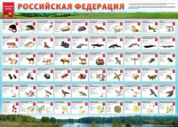 Стенд "Красная книга РФ" - fgospostavki.ru - Балахна