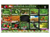 Комплект оборудования "Живой уголок" (растения) - fgospostavki.ru - Балахна