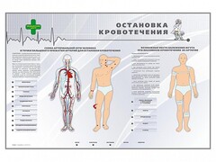 Электрифицированный стенд "Остановка кровотечения" - fgospostavki.ru - Балахна