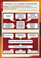 Комплект таблиц. ОБЖ. Здоровый образ жизни. - fgospostavki.ru - Балахна