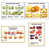 Плакаты ПРОФТЕХ "Ассортимент овощных культур" (12 пл, винил, 70х100) - fgospostavki.ru - Балахна