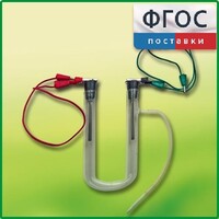 Прибор для электролиза растворов солей демонстрационный - fgospostavki.ru - Балахна