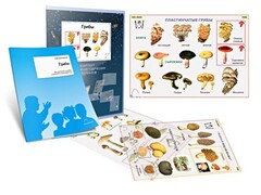 Комплект кодотранспарантов "Грибы" - fgospostavki.ru - Балахна