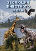 DVD "Эволюция животного мира" - fgospostavki.ru - Балахна