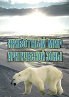 DVD "Животный мир Арктической зоны" - fgospostavki.ru - Балахна