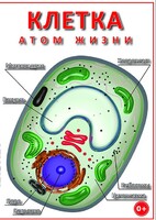 DVD "Клетка - "атом жизни" - fgospostavki.ru - Балахна