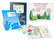 Комплект кодотранспарантов "Культурные растения" - fgospostavki.ru - Балахна