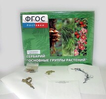 Гербарий "Основные группы растений" (52 листа) - fgospostavki.ru - Балахна
