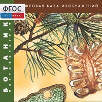 Ботаника. Микрофотографии. (Цифровая база изображений) - fgospostavki.ru - Балахна