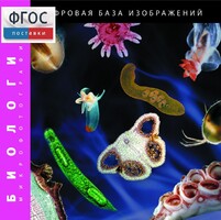 Биология. Микрофотографии. (Цифровая база изображений) - fgospostavki.ru - Балахна