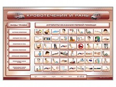 Трехсекционный базовый комплект "Травмы. Кровотечения. Ожоги" для учащихся общеобразовательных учреждений - fgospostavki.ru - Балахна