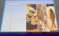 Коллекция "Палеонтологическая" (16 образцов) - fgospostavki.ru - Балахна