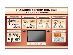 Многофункциональный интерактивный стенд-тренажер "Оказание первой помощи пострадавшим" для учащихся общеобразовательных учреждений - fgospostavki.ru - Балахна