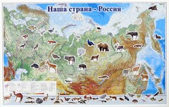 Магнитные карточки "Животные" - fgospostavki.ru - Балахна