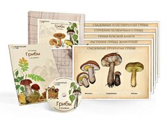 Комбинированное наглядное пособие  «Грибы» - fgospostavki.ru - Балахна