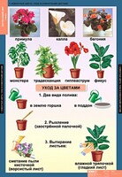 Комплект таблиц. Окружающий мир 1 класс. - fgospostavki.ru - Балахна