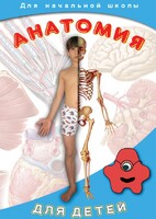 DVD "Анатомия для детей" - fgospostavki.ru - Балахна