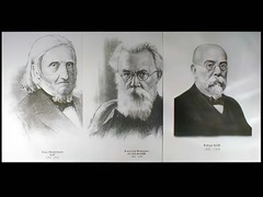 Портреты биологов (26 штук, формат А3) - fgospostavki.ru - Балахна