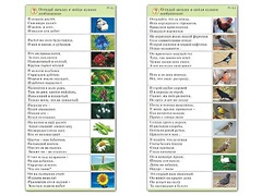 Комплект карточек (10) "Обучающий калейдоскоп. Природа" - fgospostavki.ru - Балахна