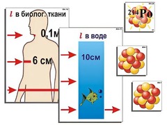 Модель-аппликация "Явление радиоактивности" (ламинированная) - fgospostavki.ru - Балахна