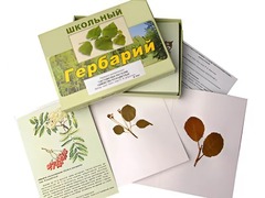 Гербарий "Систематика растений. Семейство Розоцветные" (раздаточный) - fgospostavki.ru - Балахна