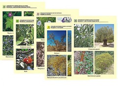 Гербарий фотографический по географии - fgospostavki.ru - Балахна