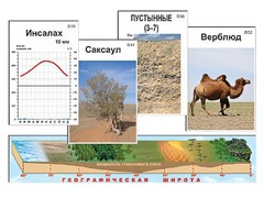 Модель-аппликация "Природные зоны" - fgospostavki.ru - Балахна