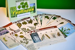 Гербарий к курсу основ общей биологии - fgospostavki.ru - Балахна