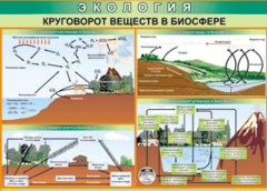 Таблица "Круговорот веществ в биосфере" (100х140 сантиметров, винил) - fgospostavki.ru - Балахна