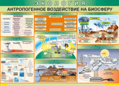 Таблица "Антропогенное воздействие на биосферу" (100х140 сантиметров, винил) - fgospostavki.ru - Балахна