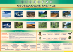 Таблица "Экология. Обобщающие таблицы" (100х140 сантиметров, винил) - fgospostavki.ru - Балахна