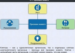 Интерактивные курсы. Биология 5 класс. Базовый - fgospostavki.ru - Балахна