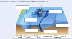 Интерактивные курсы. География 7 класс . Базовый. - fgospostavki.ru - Балахна