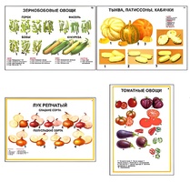 Плакаты ПРОФТЕХ "Ассортимент овощных культур" (12 пл, винил, 70х100) - fgospostavki.ru - Балахна