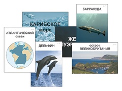Модель-аппликация "Океаны. Знакомство" (ламинированная) - fgospostavki.ru - Балахна