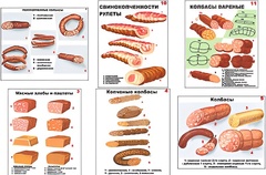 Плакаты ПРОФТЕХ "Ассортимент колбасной и мясной продукции" (11 пл, винил, 70х100) - fgospostavki.ru - Балахна