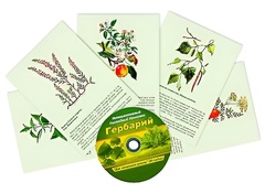 Интерактивный наглядный комплекс "Гербарий "Для начальной школы" - fgospostavki.ru - Балахна