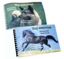 Пособие для слабовидящих - Домашние животные - fgospostavki.ru - Балахна